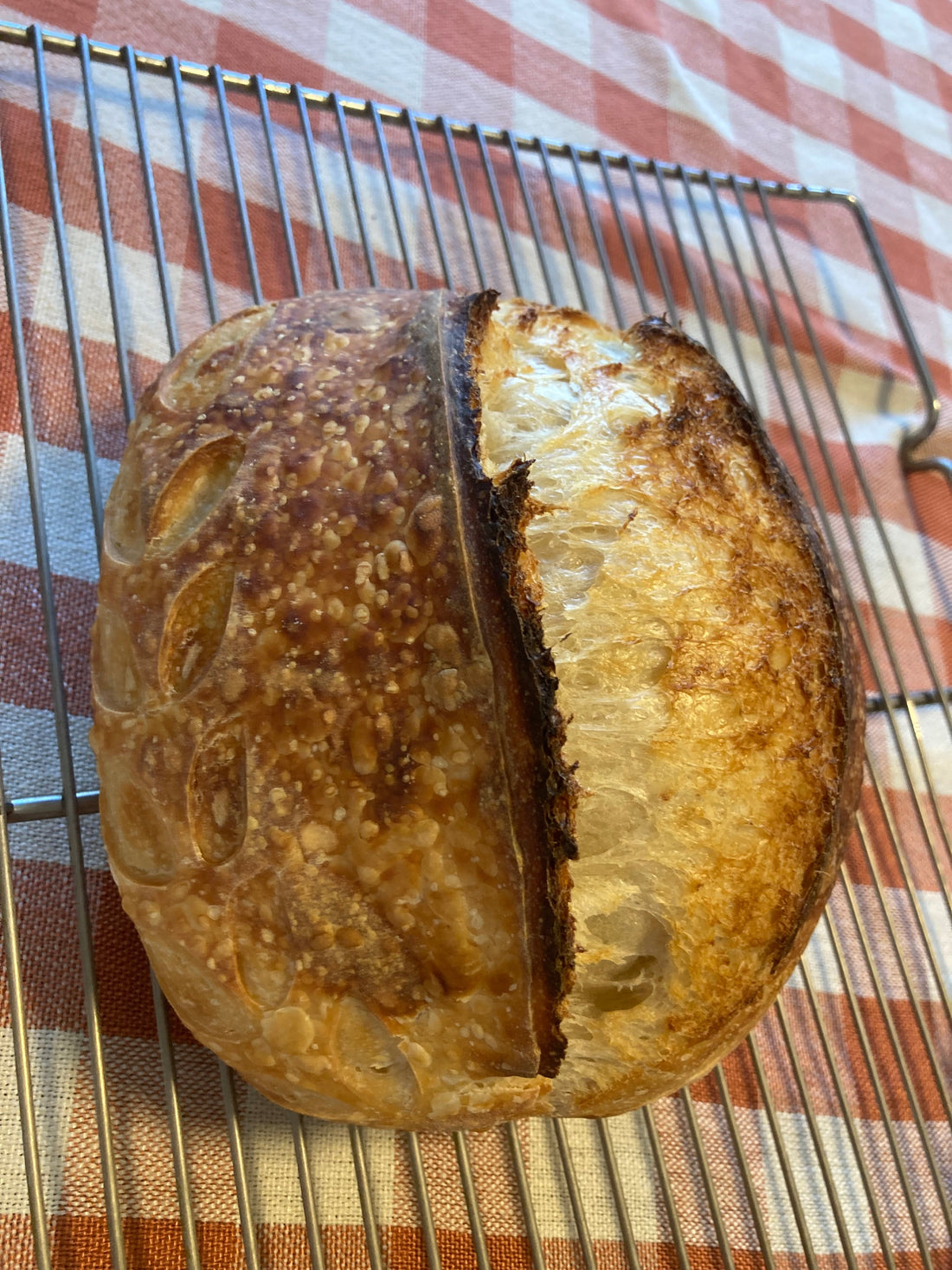 Sourdough 101: The Basics of Getting Started