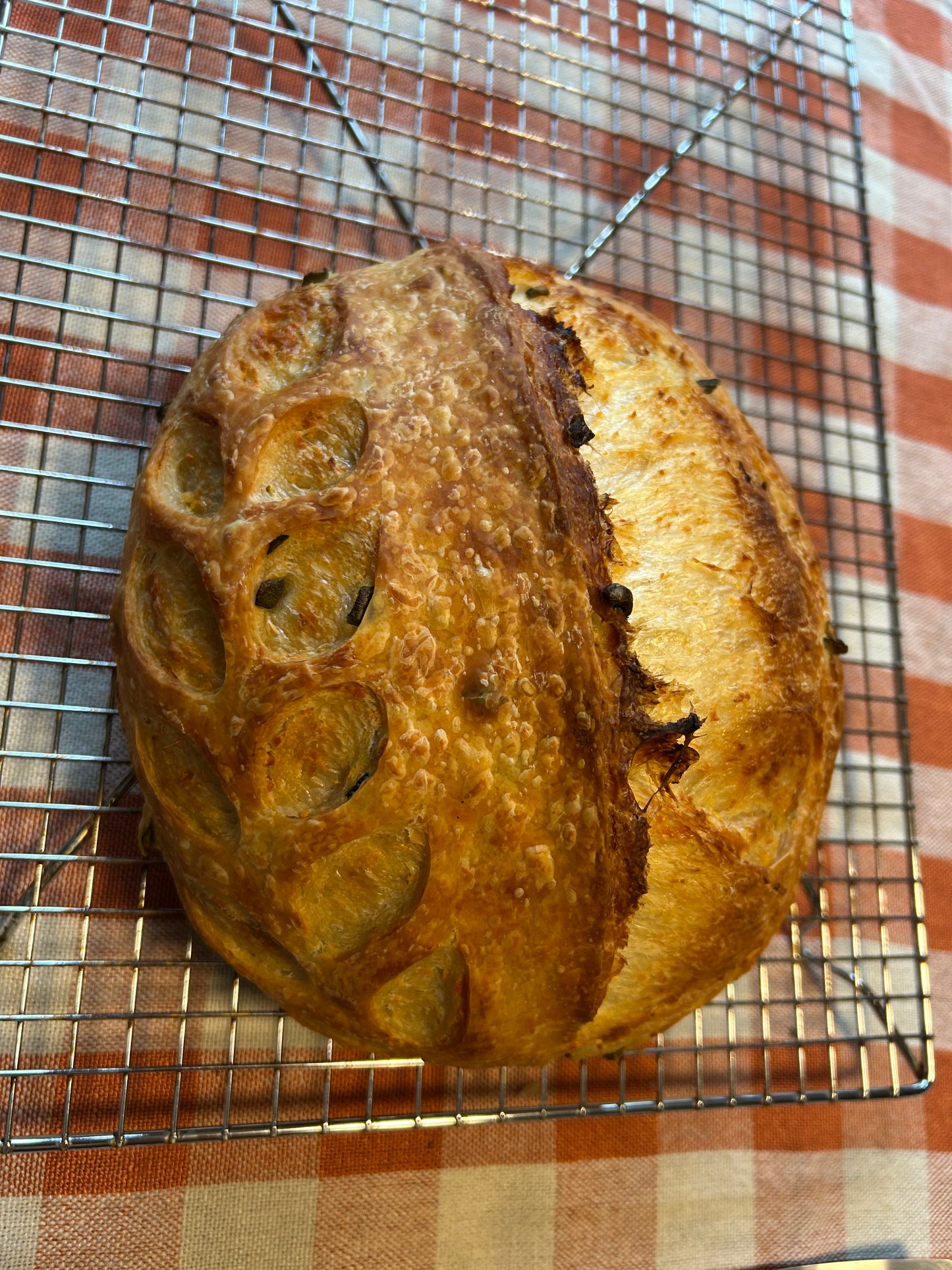 Jalapeño & Cheddar Sourdough Loaf