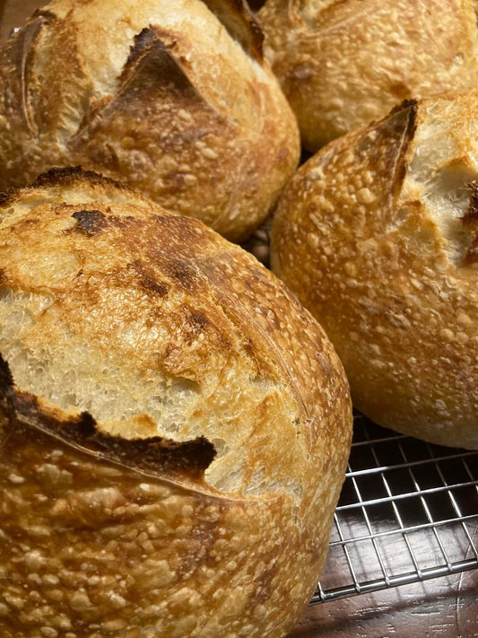 Is all Sourdough Created Equal?