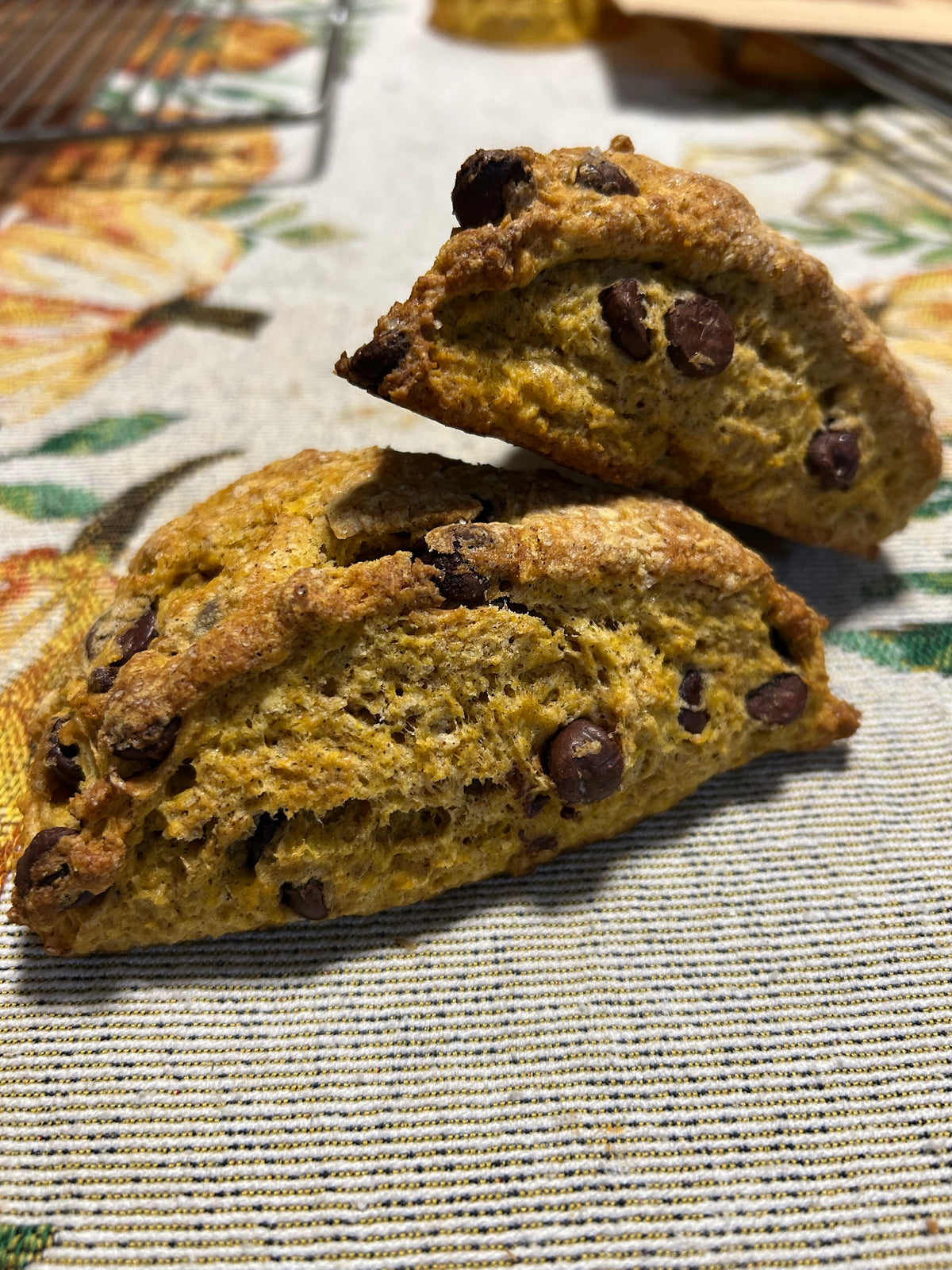 Organic Sourdough Pumpkin Chocolate Chip Scones