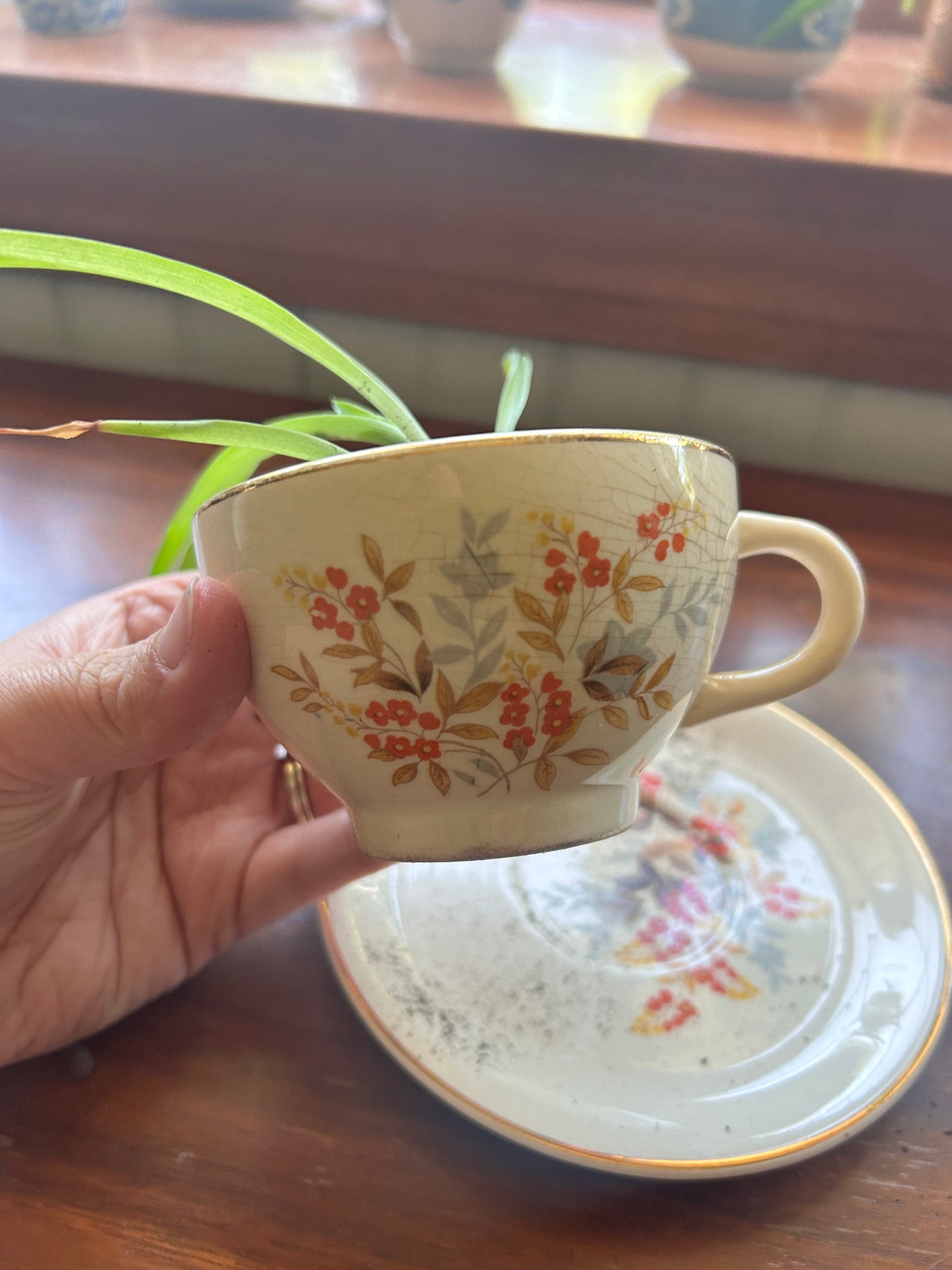 Spider Plant - Orange Floral Teacup