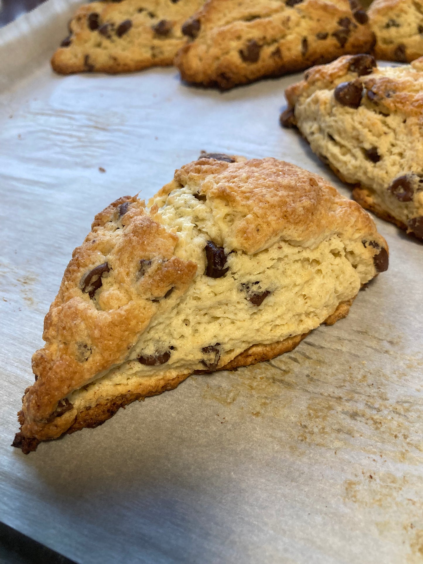 Sourdough Chocolate Chip Scones