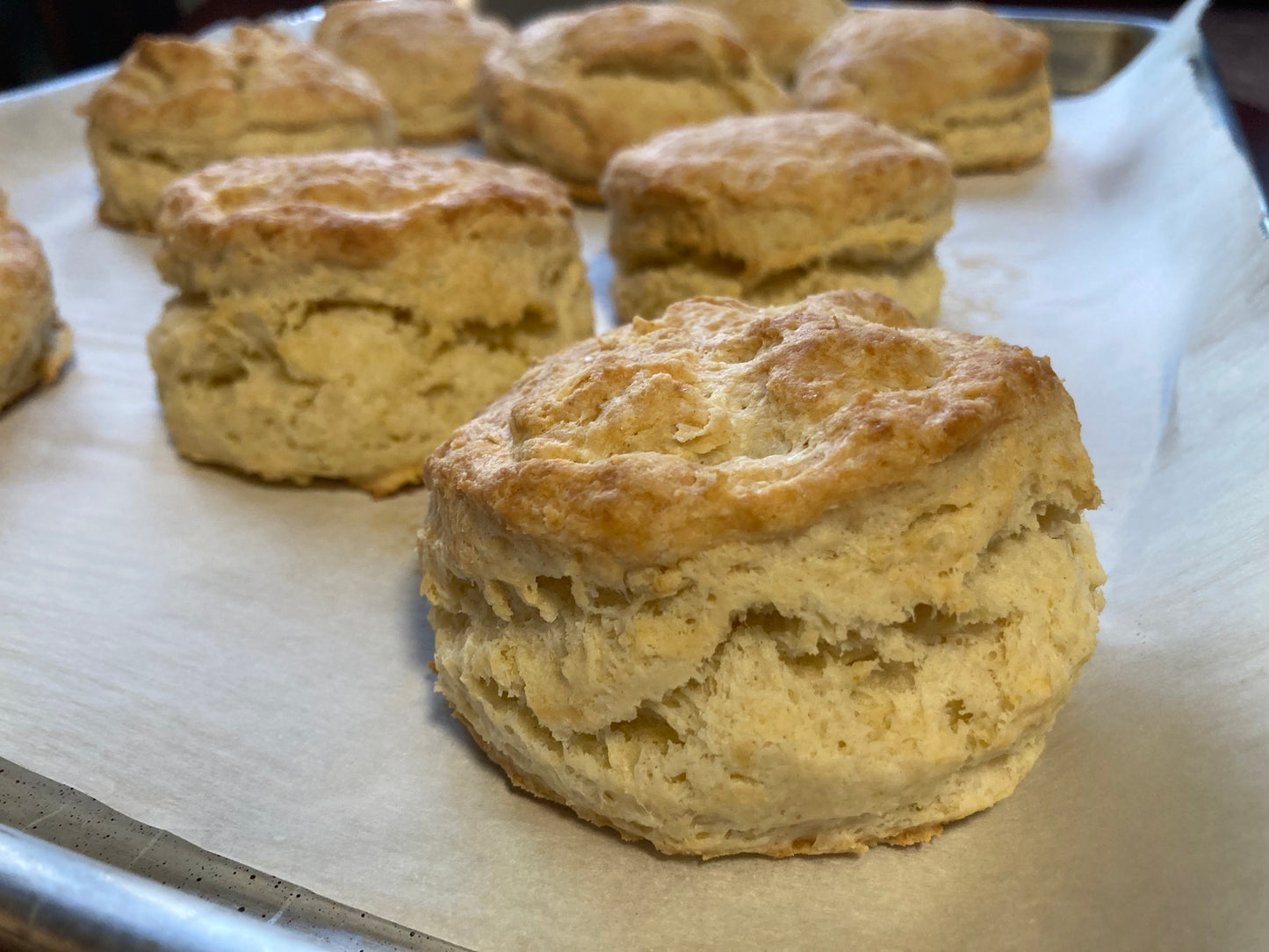 Sourdough Biscuits