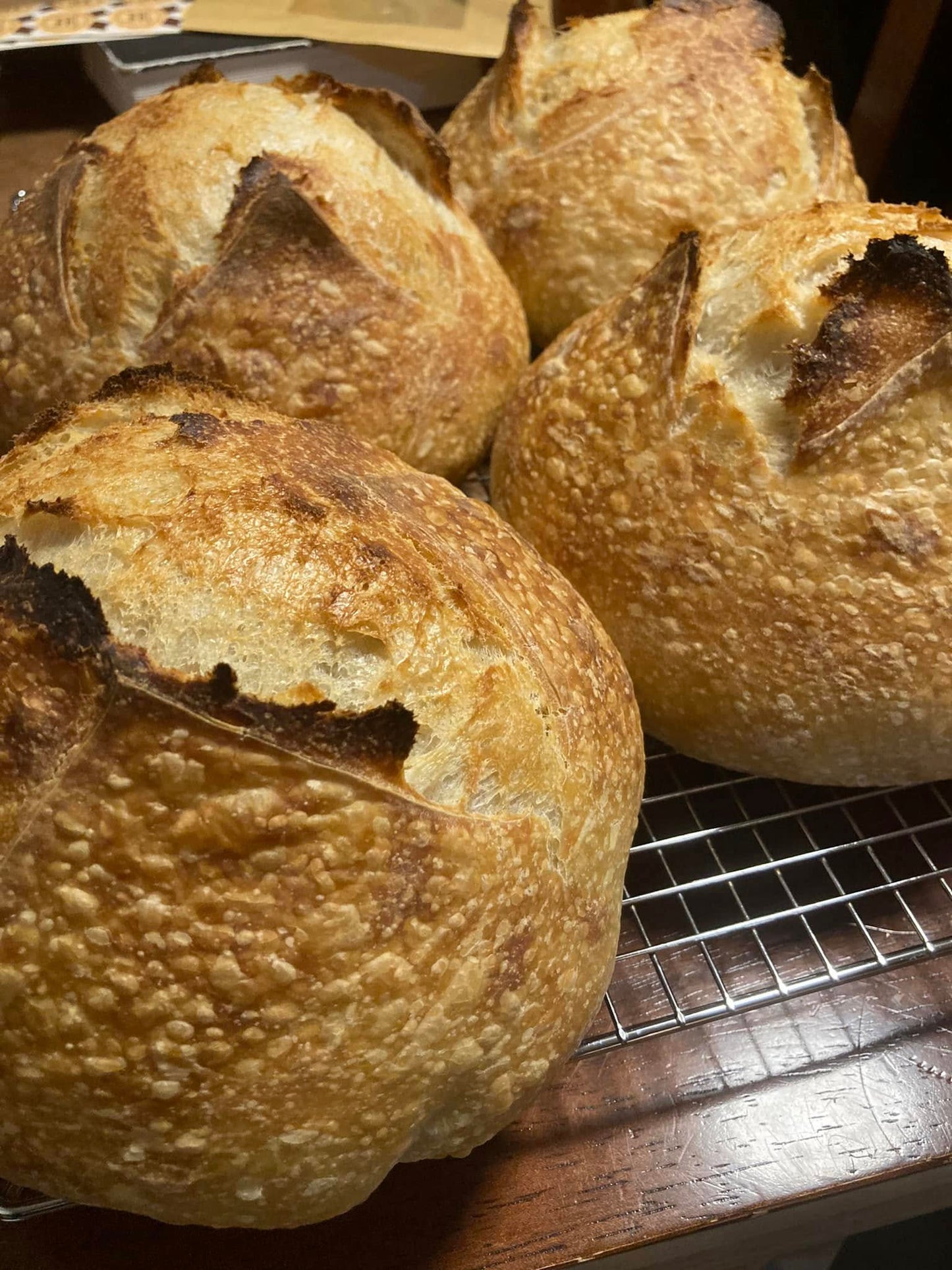 Sourdough Loaf