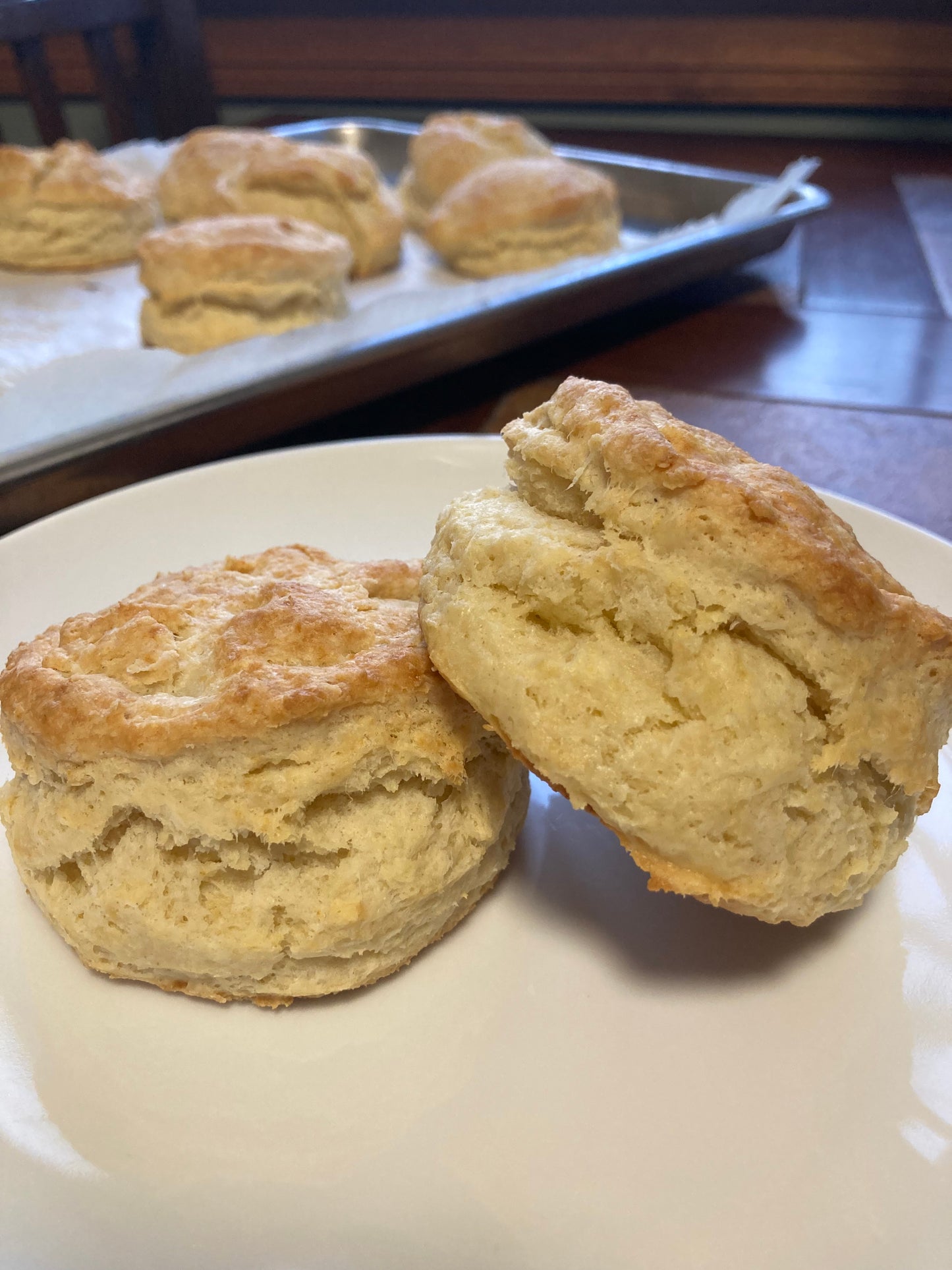 Sourdough Biscuits