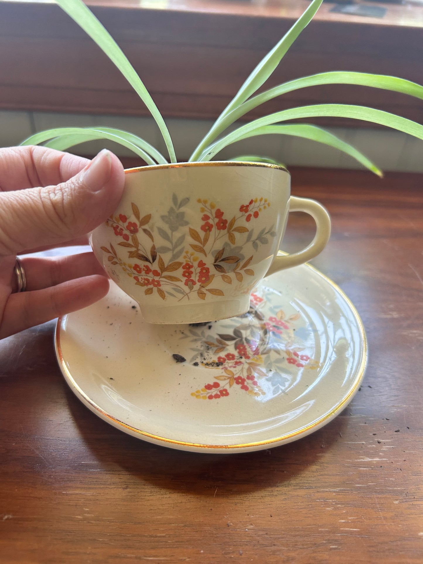 Spider Plant - Orange Floral Teacup