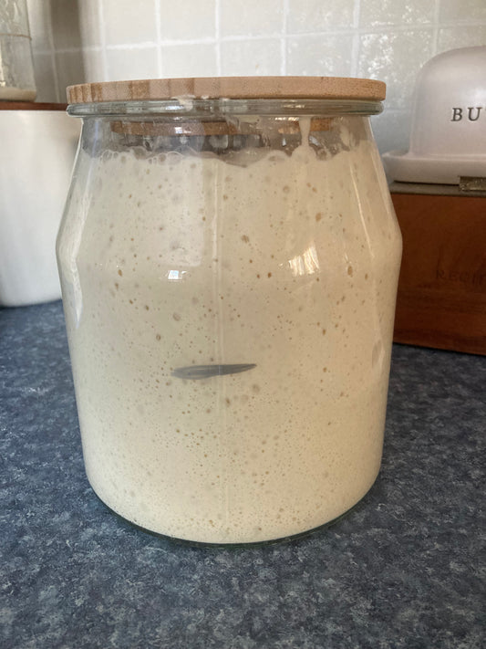 Organic Sourdough Starter