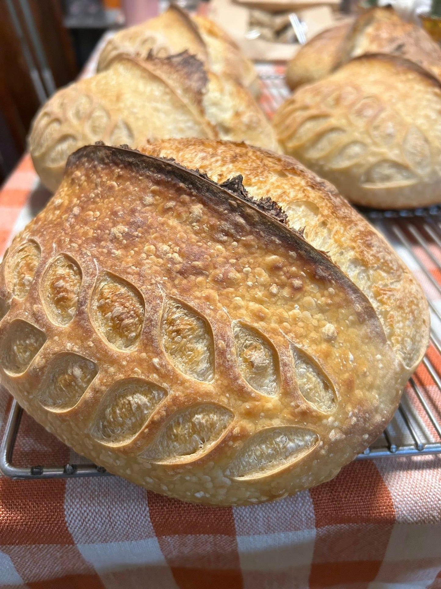 Organic Sourdough Loaf