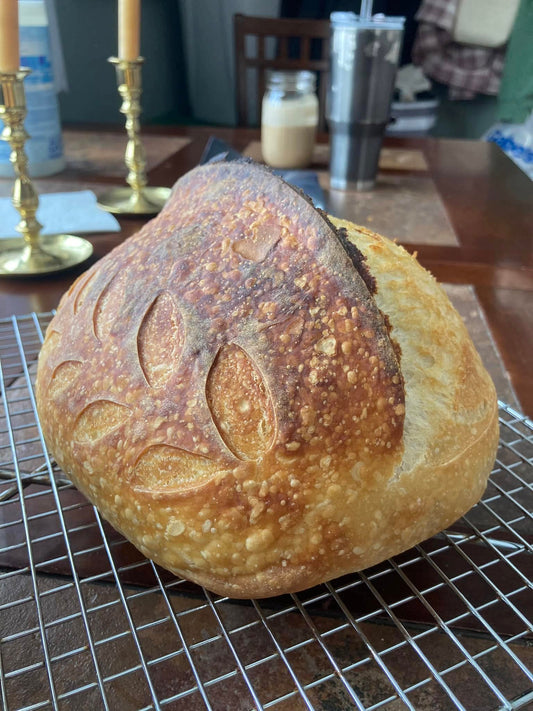 Sourdough Loaf